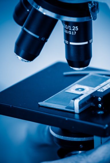 Forensic Email Authentication